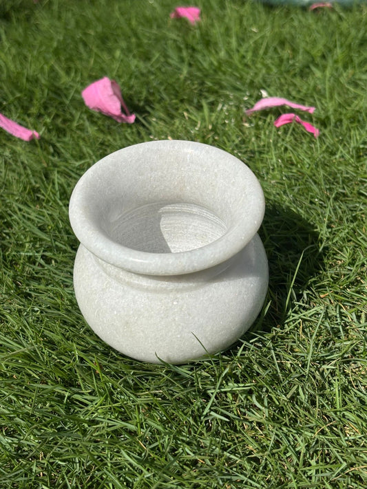 Lotta (Theertha cup)